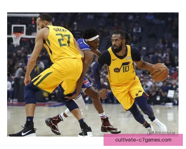 公牛队迎来新赛季挑战，重建阵容引发球迷热议与期待