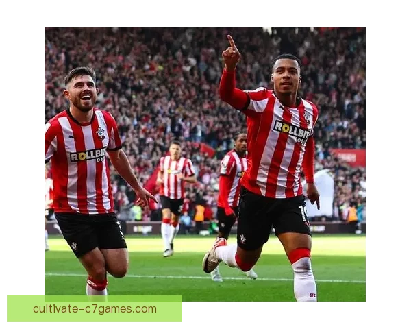 南安普顿足球俱乐部历史辉煌与未来发展全景解析