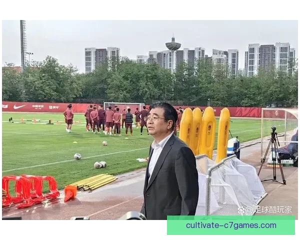 国家队备战亚洲杯全力冲刺 球员状态与战术调整成焦点